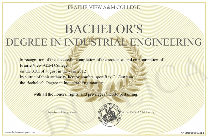 Bachelor s Degree in Industrial Engineering